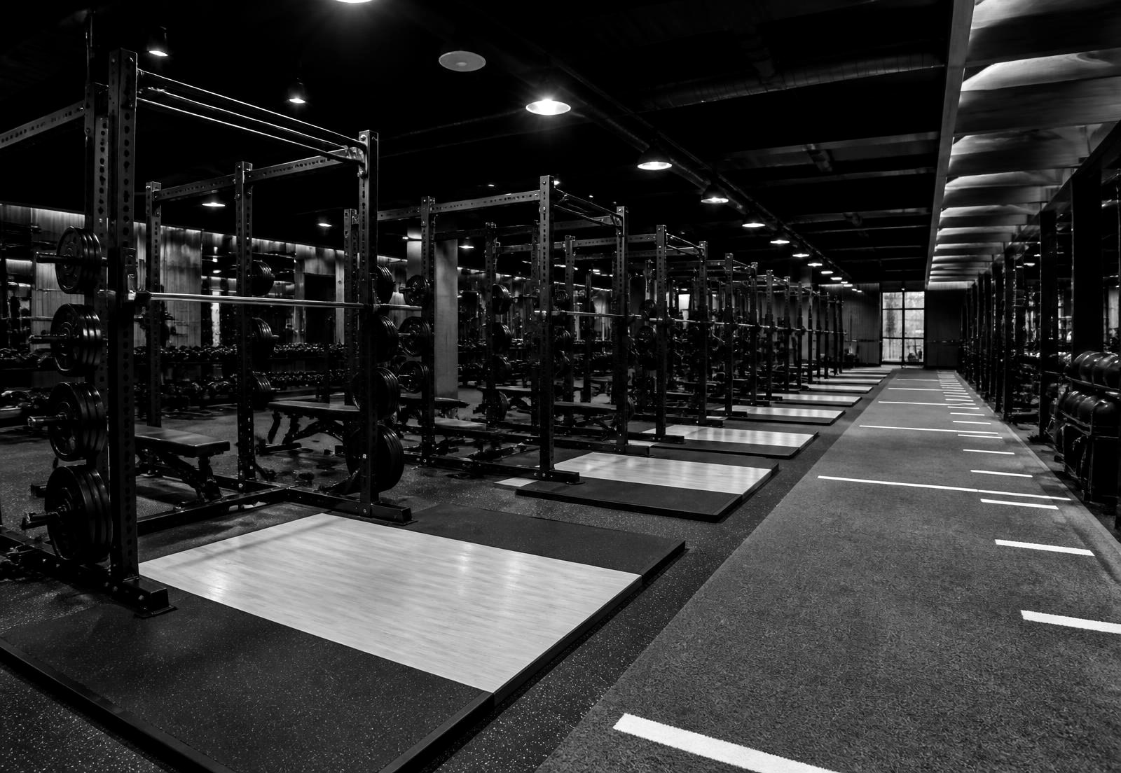 Rows of black power racks and calibrated plates on the Strength Lab training floor